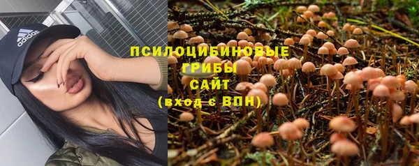 PSILOCYBIN Переславль-Залесский