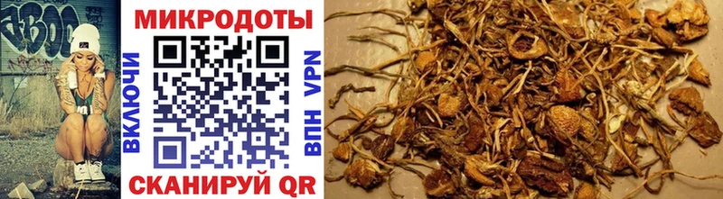 Псилоцибиновые грибы Cubensis  Кунгур 